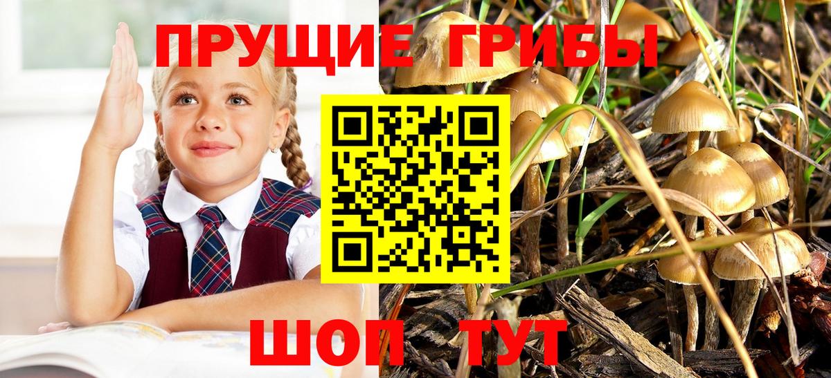 Галлюциногенные грибы прущие грибы Рузаевка